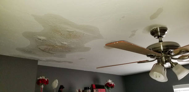 https://www.istockphoto.com/photo/water-damaged-ceiling-with-bubbling-and-stains-gm2197142407-615123158?searchscope=image%2Cfilm