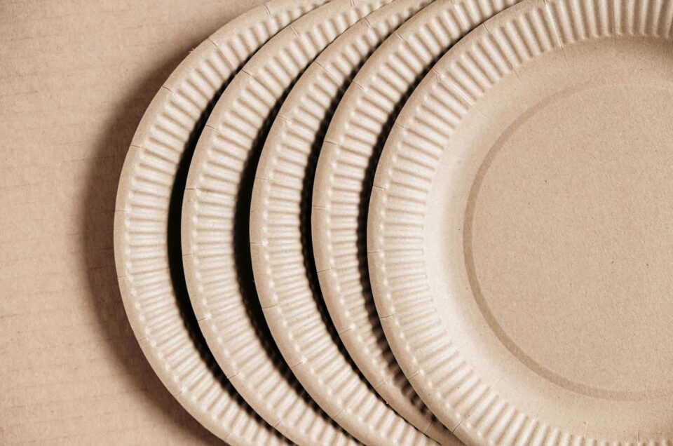 Custom Paper Plates